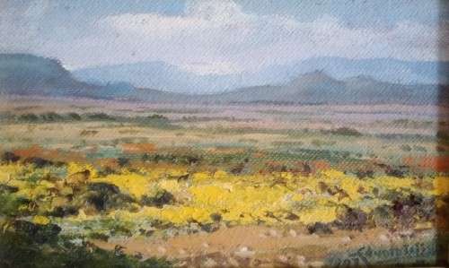 Eduard Wium, Lente Naby Springbok (Oil)