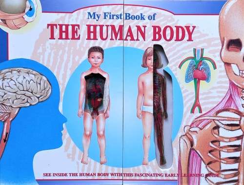 John Brook, My First Book of the Human Body