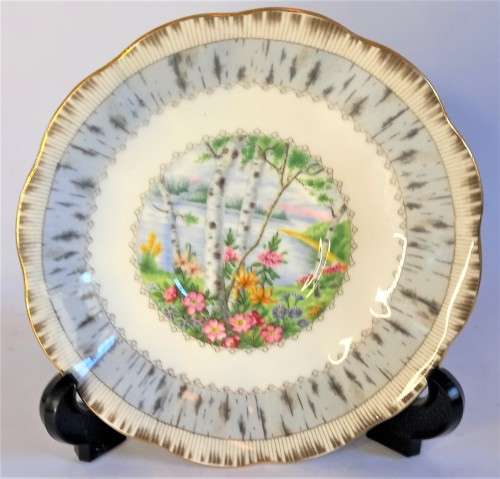 Royal Albert `Silver Birch` Replacement Saucer (2 available)