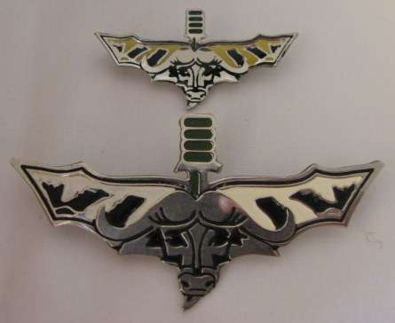 32 BATTALION METAL RECCE WINGS - BOTH WITH PINS.  REPRO.