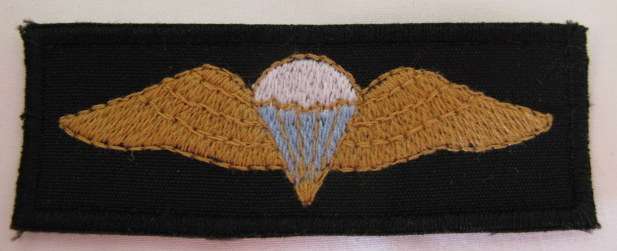 DURBAN CORPORATION SECURITY PARA WINGS WORN BY ALL GRADES OF EX-MILITARY PARACHUTISTS.