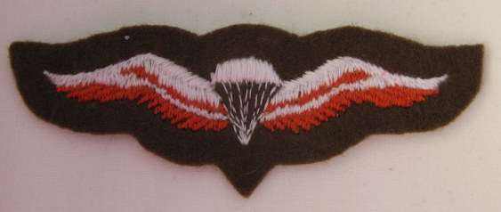 FREE FALL PARACHUTE WING.  DEFENCE FORCE ICN NO: 84455-18-408-3899.  1960'S-70'S