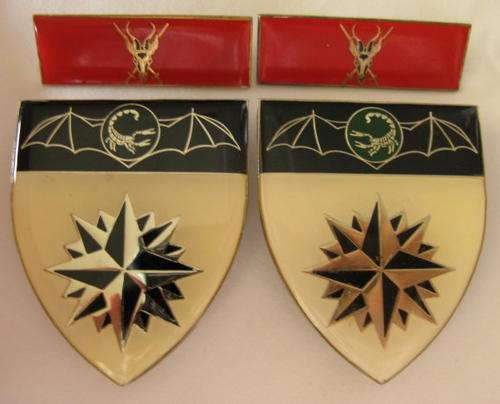 2 RECCE REGIMENT RIGHT & LEFT FLASH (2ND TYPE 1991-1993) WITH HIGHER FORMATION BARS.  GUARANTEED