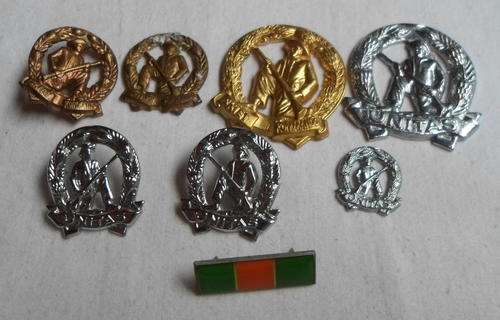 SELECTION OF SA COMMANDO BADGES,BRASS+CHROME & BERET BAR-SOME PINS MISSING