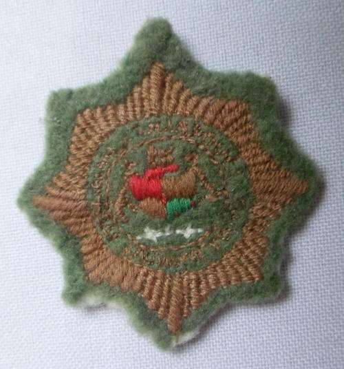 SAP SPECIAL TASK FORCE CAP BADGE-FIELD DRESS