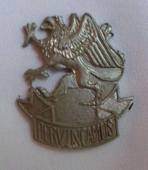 3 SA INFANTRY TRAINING UNIT CAP BADGE-CHROME VARIATION-APPROVED IN 1986-NO LUGS