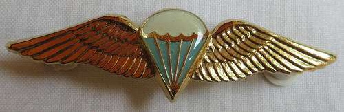 SA PARACHUTE BASIC PARATROOPER WING-GILDING METAL WITH LUCITE COVERED CENTRE-THIS IS THE LATTER VARI