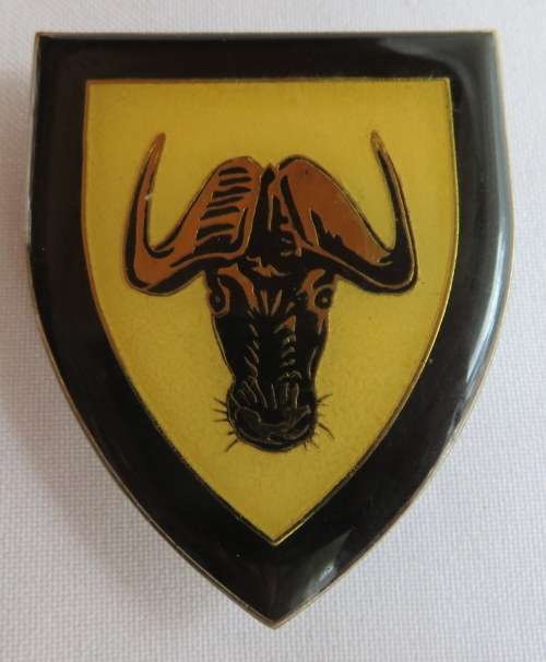 REGIMENT PORT NATAL FLASH- 3 PINS-ORIGINAL
