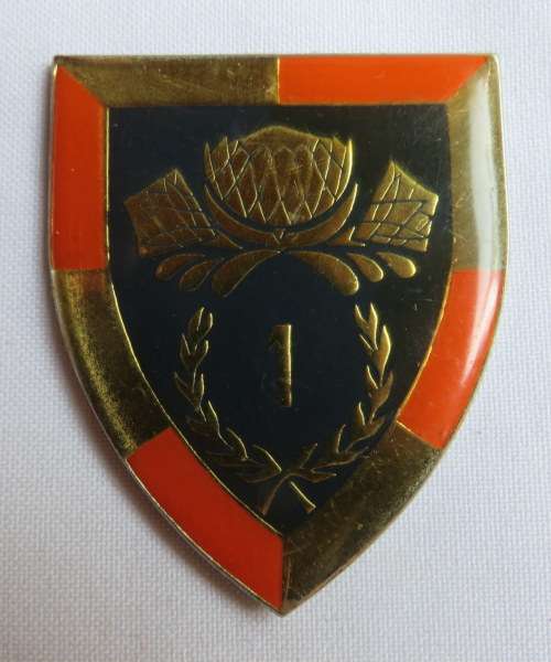 1 SPECIAL SERVICE BATTALION FLASH- 3 PINS