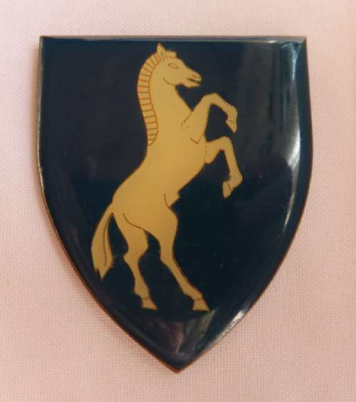 BLOEMFONTEIN CITY COMMANDO FLASH- 3 PINS