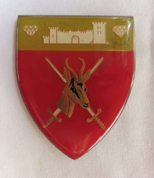SWA COMMAND HQ GOLD TYPE FLASH- FULL SIZE- 3 PINS