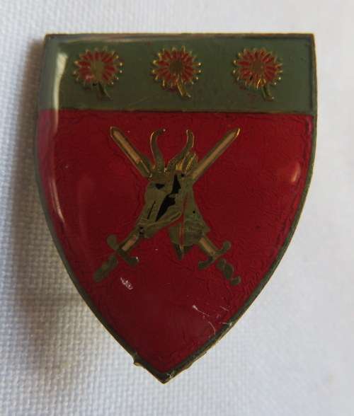 NORTHERN TRANSVAAL HQ FOB BADGE- 2 PINS