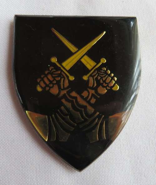 SA REGIMENT BLOEMSPRUIT FLASH- 3 PINS