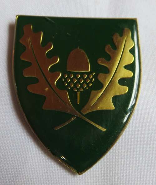 REGT. UNIVERSITY STELLENBOSCH FLASH- 3 PINS