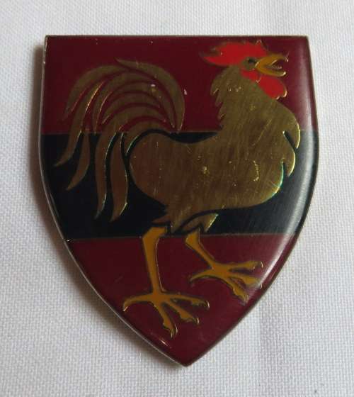 12 FIELD SQUADRON FLASH- 3 PINS