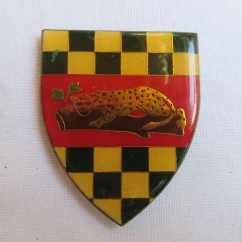 FIRST CITY REGIMENT FLASH- 3 PINS