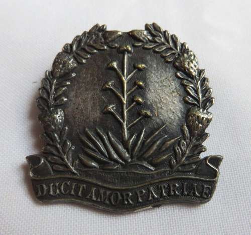 SANDRIVIER COMMANDO GREY METAL CAP BADGE- APPROVED IN 1990- 2 BENT LUGS