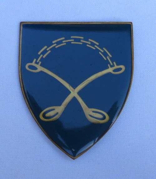 113 BATTALION FLASH- 2 PINS