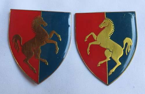 SA TECHNICAL TRAINING CENTRE FLASH PAIR-3 RD ISSUE-GOLD- NO PINS