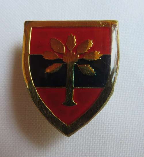 SWA ENGINEER SUPPORT UNIT POCKET FOB BADGE- 2 PINS