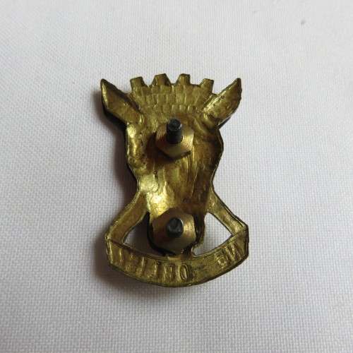 CAPE REGIMENT BI-METAL CAP BADGE-APPROVED IN 1987- 2 LUGS