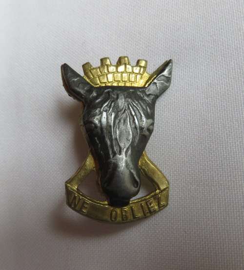 CAPE REGIMENT BI-METAL CAP BADGE-APPROVED IN 1987- 2 LUGS