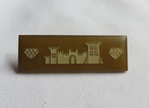 SWA COMMAND BAR- 2 PINS