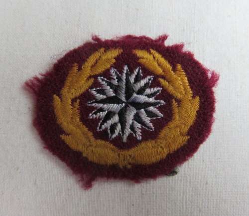 RECCE FIRST ISSUE BERET BADGE 1985-SMALL WITH COMPASS COLOURS REVERSED-GUARANTEED ORIGINAL-PAGE 156