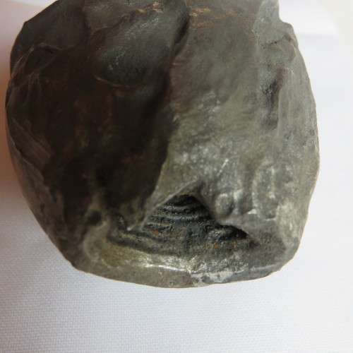 PROJECTILE FOR PRACTICE RIFLE GRENADE