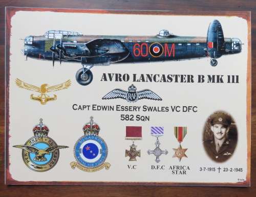 SAAF ENAMEL SIGN -MEASURES 28 X 20 CM