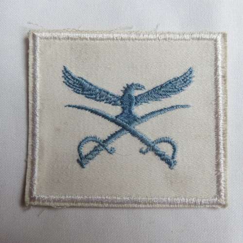 SAAF PT INSTRUCTOR TRACK SUIT BADGE