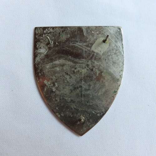 1 SPECIAL SERVICES BATTALION FLASH-3 PINS
