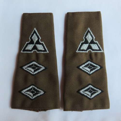 SWA COLONEL SLIP-ON RANK PAIR