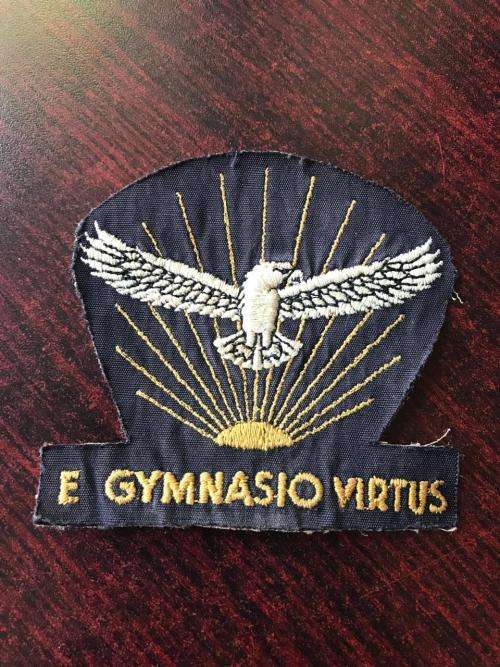 SAAF GYMNASIUM BLAZER BADGE