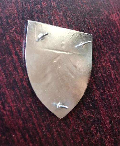 S.W.A.T.F. 1 SWA MEDICAL COMMAND POCKET FLASH- ORIGINAL- 3 PINS