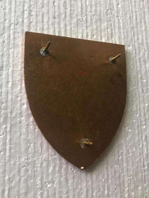 KIMBERLEY ARMY SUPPORT FLASH- 3 PINS- ORIGINAL