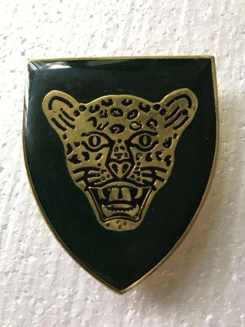 10 SA INFANTRY BATTALION FLASH- 3 PINS- ORIGINAL