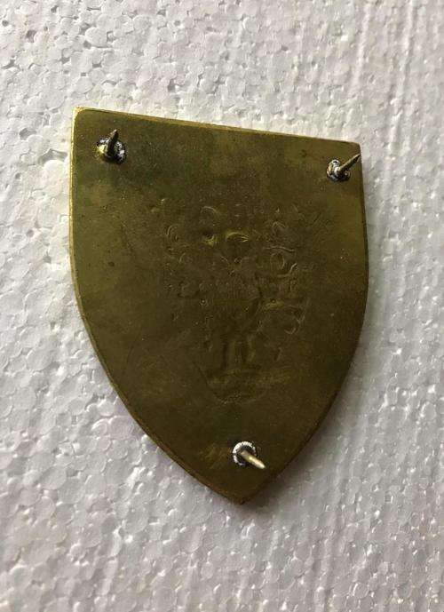 10 SA INFANTRY BATTALION FLASH- 3 PINS- ORIGINAL