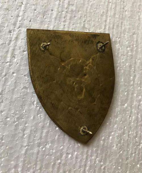 13 SA INFANTRY BATTALION FLASH- 3 PINS