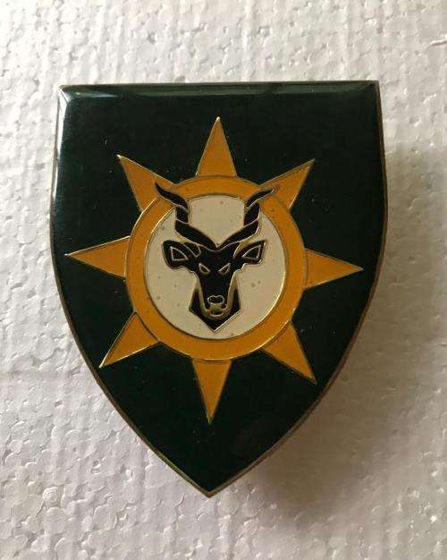 13 SA INFANTRY BATTALION FLASH- 3 PINS