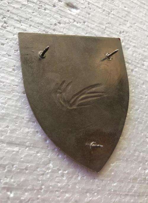 REGIMENT CONGELLA FLASH- ORIGINAL- 3 PINS