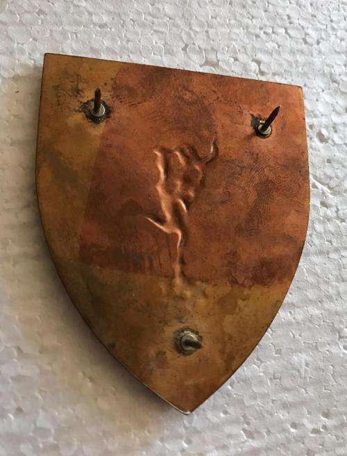 ZAMBIA SIGNALS FLASH- 3 BATTALION- 3 PINS