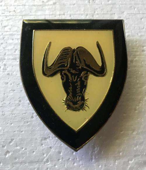 REGIMENT PORT NATAL FLASH- 3 PINS