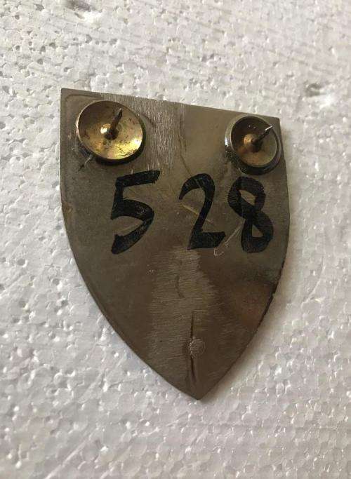 16 RECEPTION DEPOT FLASH- ORIGINAL- 2 PINS (REPLACED)