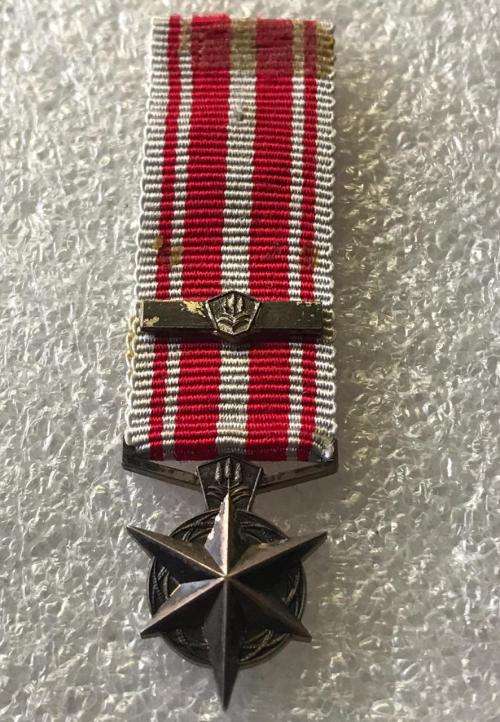 MINIATURE SA POLICE MEDAL FOR COMBATING TERRORISM (1974)-SILVER MEDAL