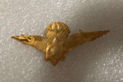 VINTAGE POLICE TASK FORCE PARA-GILT BREAST BADGE-MESS DRESS- 1ST TYPE - 2PINS