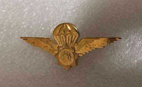 VINTAGE POLICE TASK FORCE PARA-GILT BREAST BADGE-MESS DRESS- 1ST TYPE - 2PINS