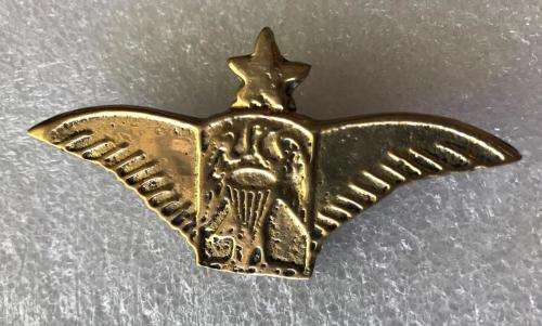 UNKNOWN BRASS CAST PARA WING