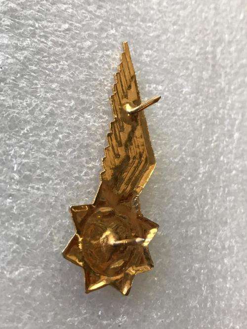 SA Observer badge