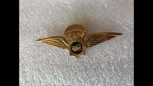 POLICE TASK FORCE PARAWINGS IN GOLD - 2 PINS